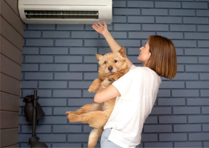 A Full-Service Air Conditioning and Heating Company in Phoenix - woman checking air with dog